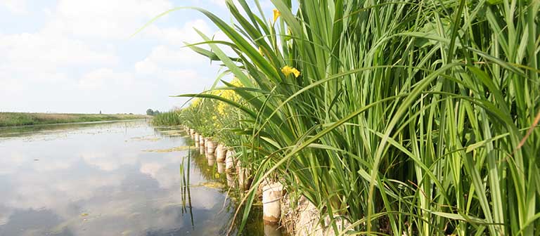 Setting the record straight: Monbiot on Internal Drainage Boards