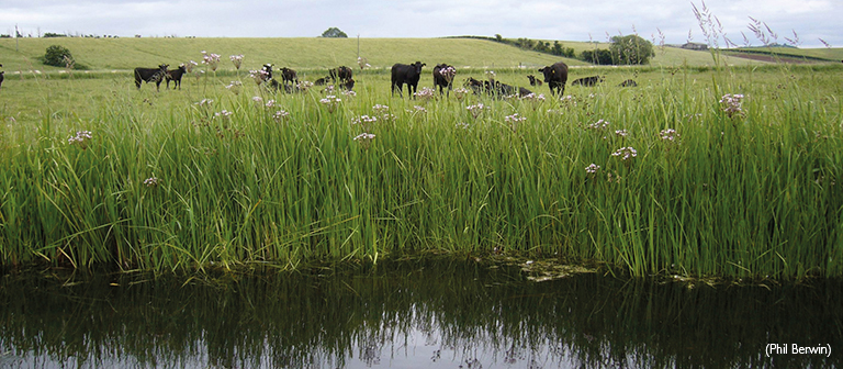 Defra sets out new farm policy after Brexit