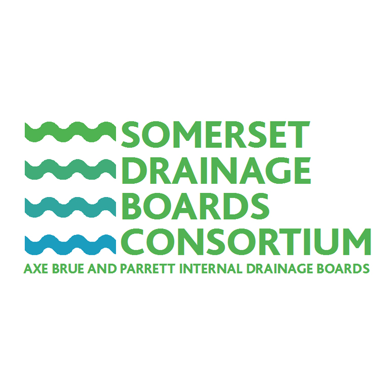 Consent / Enforcement Officer