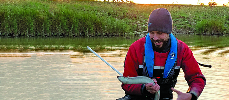 REDEEMing pumping stations for eels