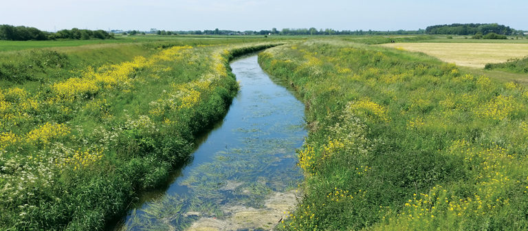 Implications for managing flood risk within Environment and Agriculture Bills