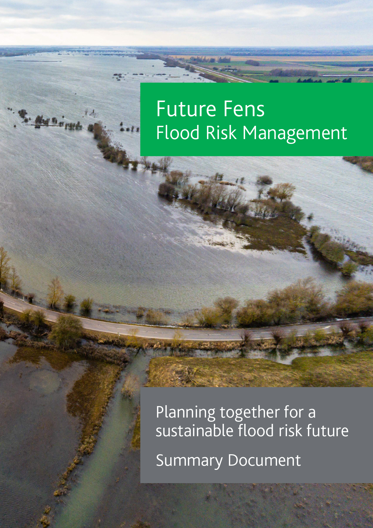 Future Fens Summary Document